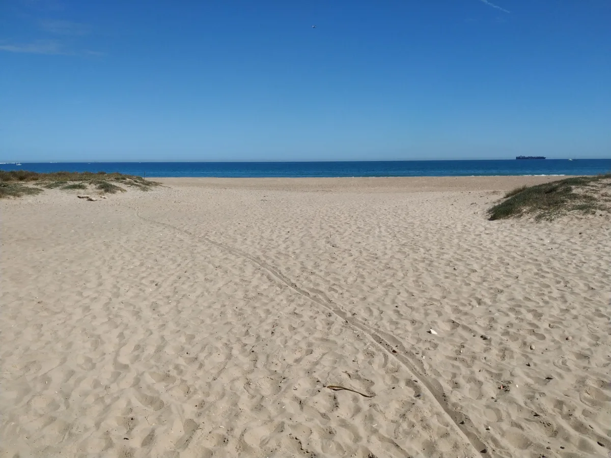 Arenal y orilla del mar en la playa de El Saler, Valencia